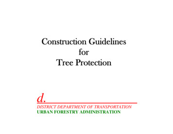 Construction Guidelines For Tree Protection