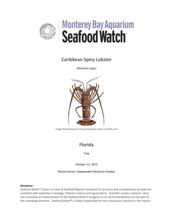 Caribbean Spiny Lobster - Ocean Wise