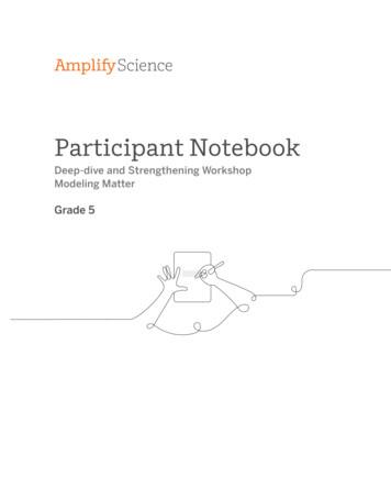 Participant Notebook - Amplify