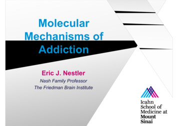 Molecular Mechanisms Of Addiction - Brain & Behavior Research Foundation
