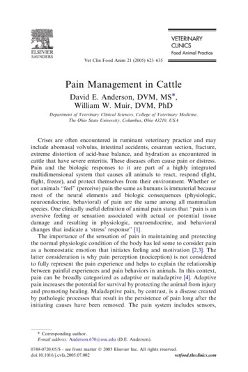 Pain Management In Cattle - AABP