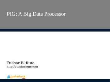 PIG: A Big Data Processor - MITU