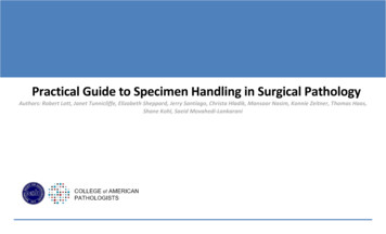 Practical Guide To Specimen Handling In Surgical Pathology