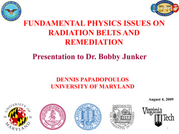 Fundamental Physics Issues On Radiation Belts And Remediation .