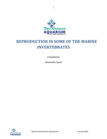 Reproduction In Some Of The Marine Invertebrates - Aquarium