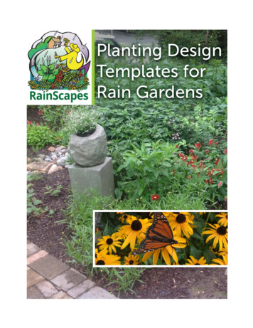Planting Design Templates For Rain Gardens