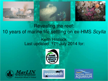 Revealing The Reef: 10 Years Of Marine Life Settling On Ex-HMS Scylla