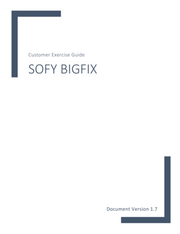 Customer Exercise Guide SOFY BIGFIX