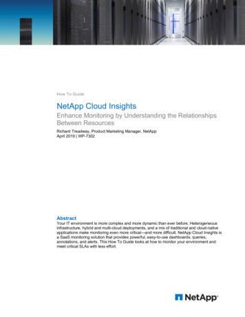 How To Guide NetApp Cloud Insights