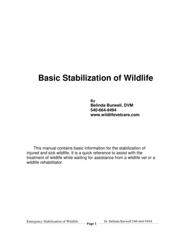 Basic Stabilization Of Wildlife - D1qmdf3vop2l07.cloudfront 