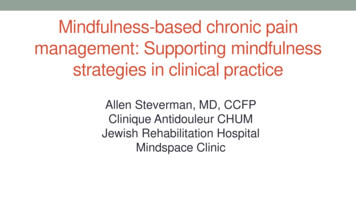 Mindfulness-based Chronic Pain Management: Supporting Mindfulness .