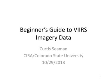 Beginner's Guide To VIIRS Imagery Data