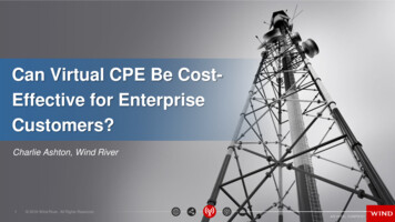 Can Virtual CPE Be Cost-Effective For Enterprise Customers?
