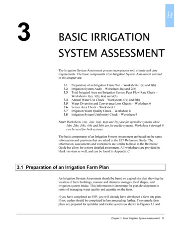 Basic Irrigation System Assessment - Gov