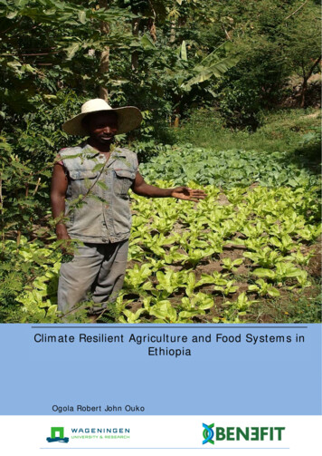 Climate Resilient Agriculture And Food Systems In Ethiopia