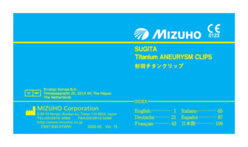 SUGITA Titanium ANEURYSM CLIPS - Mizuho