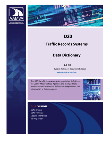D20 Traffic Records Systems Data Dictionary