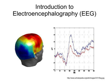 Introduction To Electroencephalography (EEG) - CAS