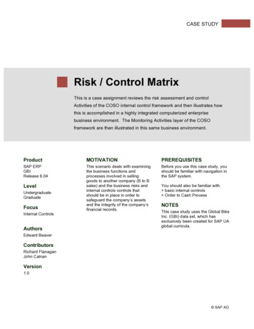 Risk / Control Matrix - Temple MIS