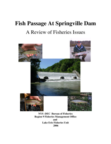 Fish Passage At Springville Dam - New York State Department Of .