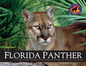 122792 DofW Panther Guide - Defenders Of Wildlife