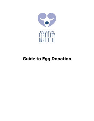Guide To Egg Donation - Houston Fertility Institute