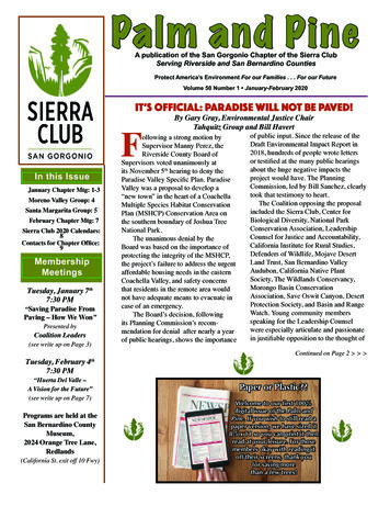 Palm And Pine - Sierra Club