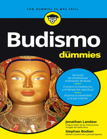 Budismo Para Dummies (Spanish Edition)