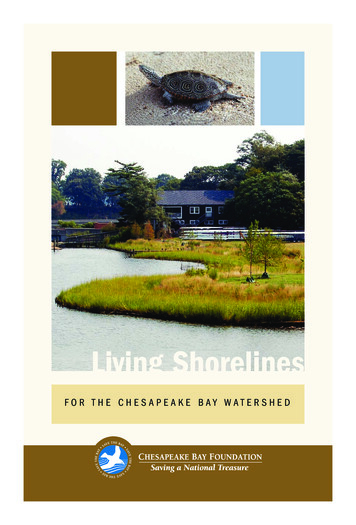 Living Shorelines - CBF