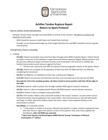 Achilles Tendon Rupture Repair Return To Sport Protocol