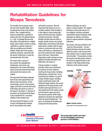 Rehabilitation Guidelines For Biceps Tenodesis - UW Health