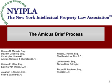 The Amicus Brief Process - Nyipla 