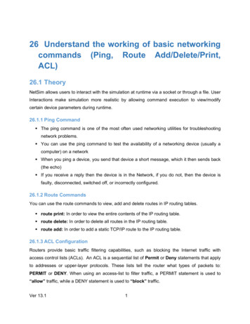 26 Understand The Working Of Basic Networking Commands (Ping . - Tetcos