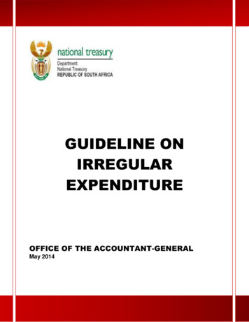 GUIDELINE ON IRREGULAR EXPENDITURE - National Treasury