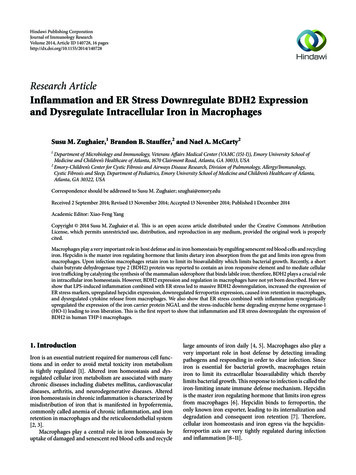 Research Article Inflammation And ER Stress Downregulate BDH2 . - Hindawi