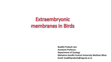 What Are Extraembryonic Membranes? Different Types Of Extraembryonic