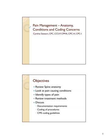 Pain Management -Anatomy, Conditions And Coding Concerns