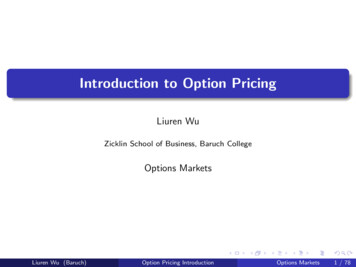 Introduction To Option Pricing - City University Of New York