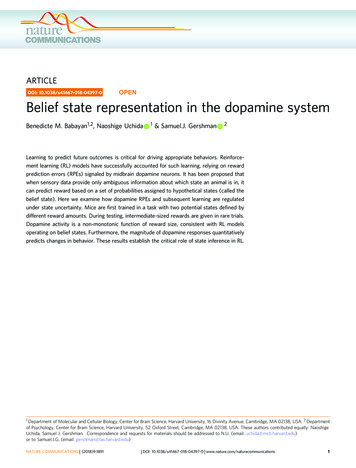 Belief State Representation In The Dopamine System