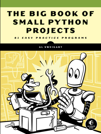 THE BIG BOOK OF SMALL PYTHON PROJECTS - Anarcho-Copy
