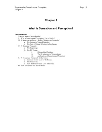 Chapter 1 What Is Sensation And Perception? - Hanover College