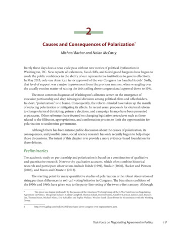 Causes And Consequences Of Polarization