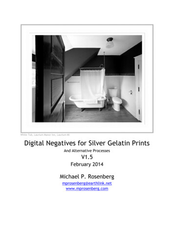Digital Negatives For Silver Gelatin Prints - Mprosenberg 