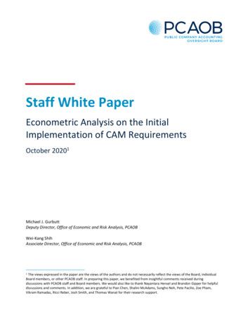 Econometric Analysis Initial Implementation CAM Requirements