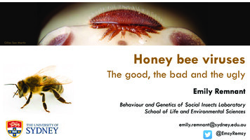 Gilles San Martin Honey Bee Viruses