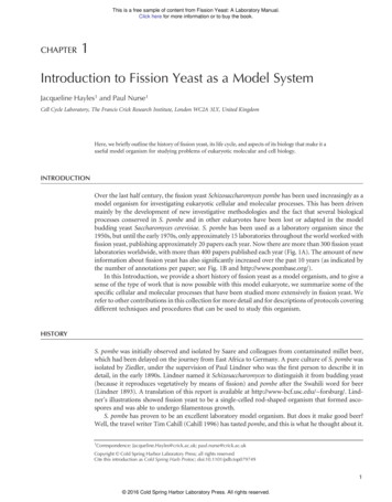 Introduction To Fission Yeast As A Model System