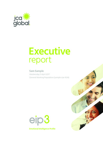 Executive Report - PSI Online