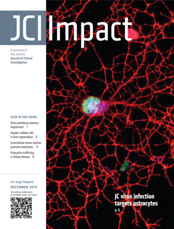 JCI Impact JC Virus Infection Targets Astrocytes