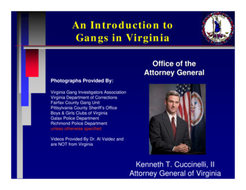 An Introduction To Gangs In Virginia