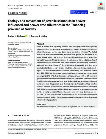 Ecology And Movement Of Juvenile Salmonids In Beaver‐influenced And .